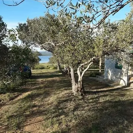 펜션 Robinson House Sea & Olives