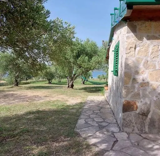 Robinson House Sea & Olives *