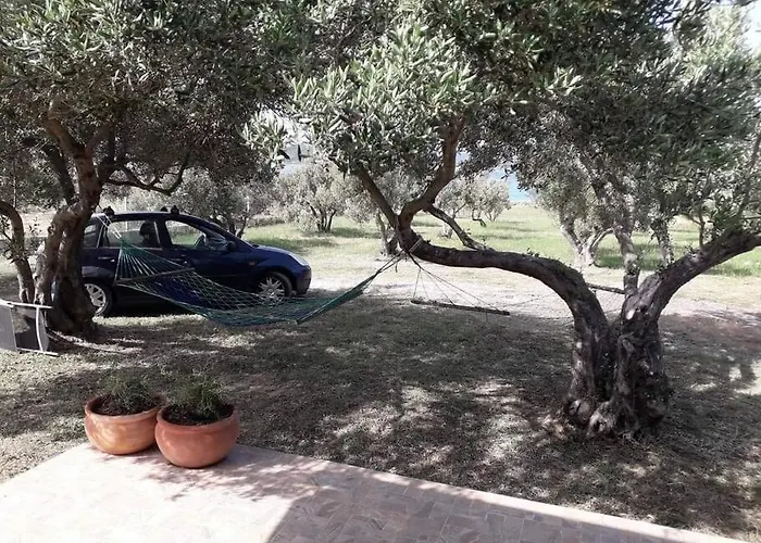 Robinson House Sea & Olives